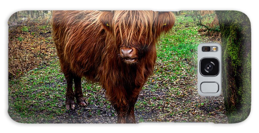 Highland Cow Galaxy Case featuring the photograph Highland Beast by Adrian Evans