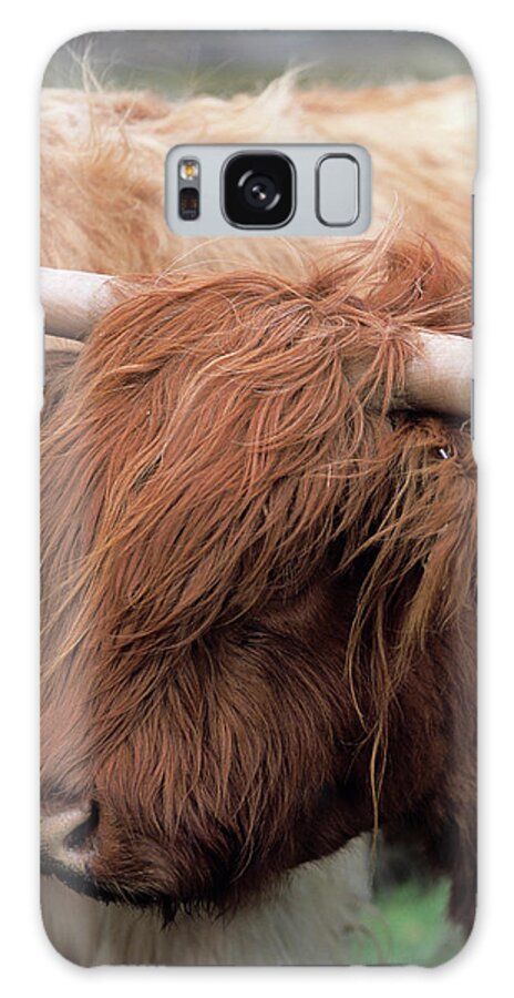 Highland Cow Galaxy S8 Case featuring the photograph Highland Cow by Chris B Stock/science Photo Library