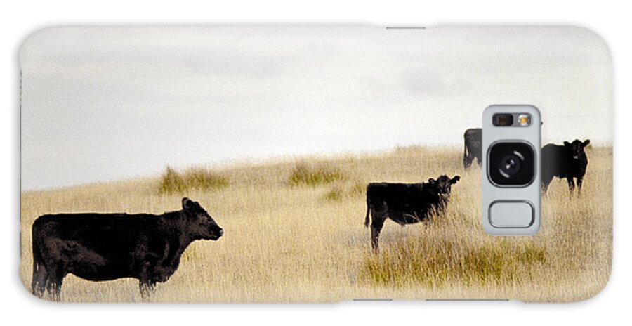 Cattle Galaxy Case featuring the photograph Hilltop Herd @ King Island by Anthony Davey