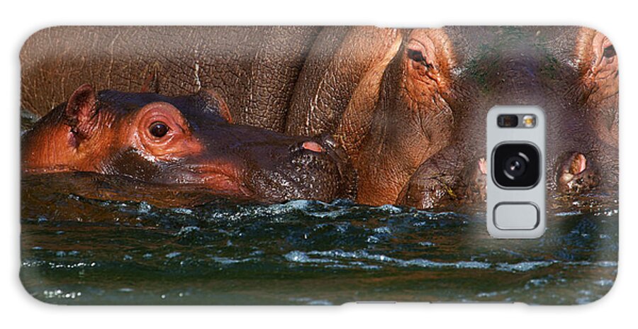Africa Galaxy Case featuring the photograph Hippo with baby by Nick Biemans