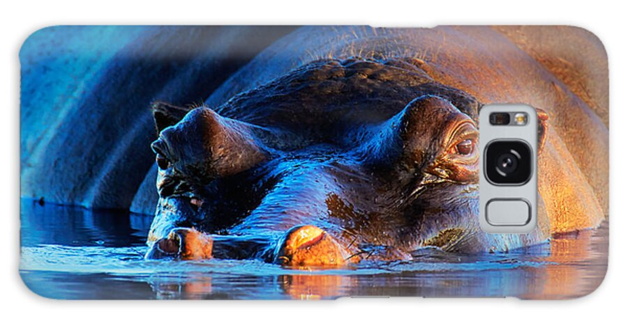 Hippopotamus Galaxy Case featuring the photograph Hippopotamus at sunset by Johan Swanepoel