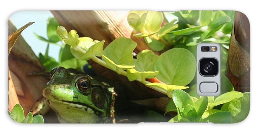 Frog Galaxy Case featuring the photograph His Kingdom by Barbara S Nickerson