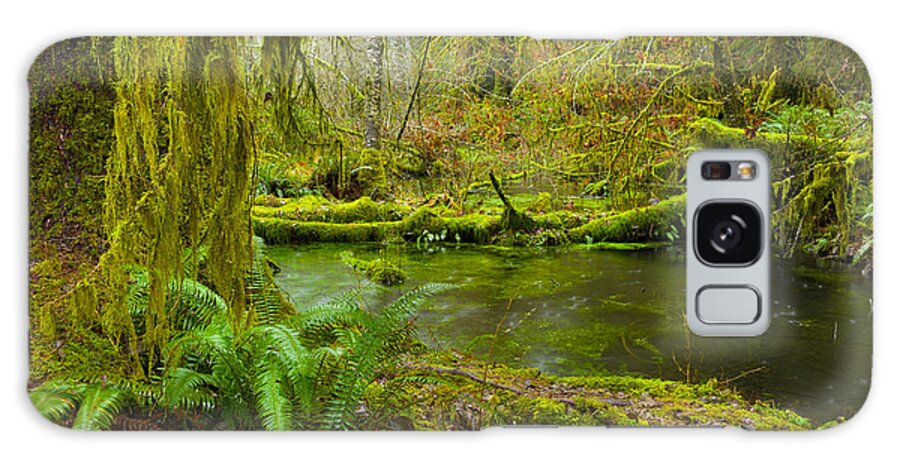 Hoh Rainforest Galaxy S8 Case featuring the photograph Hoh Rainforest 3 by Joe Doherty