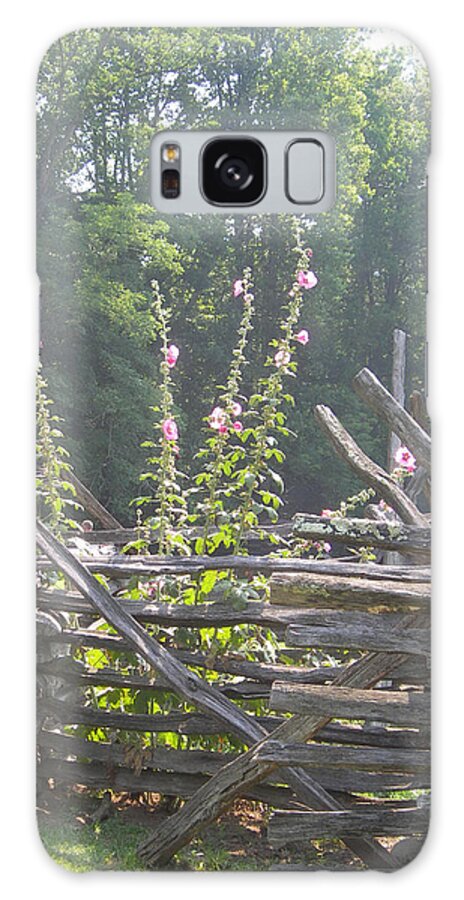 Landscape Galaxy Case featuring the photograph Holy Hocks by Deborah Ferree