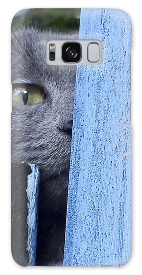 Cat Watching Galaxy Case featuring the photograph Home alone by Debbie Cundy