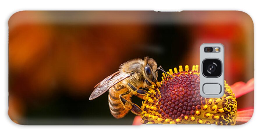 Bee Galaxy Case featuring the photograph Honeybee at Work by Jurgen Lorenzen