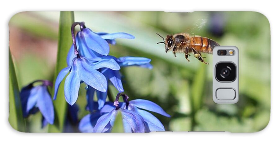 Honeybee Galaxy S8 Case featuring the photograph Honeybee in Flight by Lucinda VanVleck