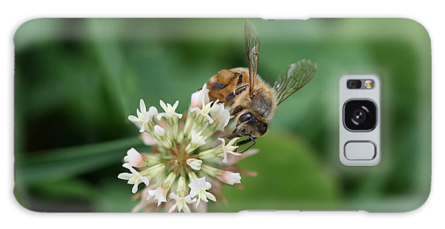 Bee Galaxy Case featuring the photograph Honeybee on clover by Denise Beverly