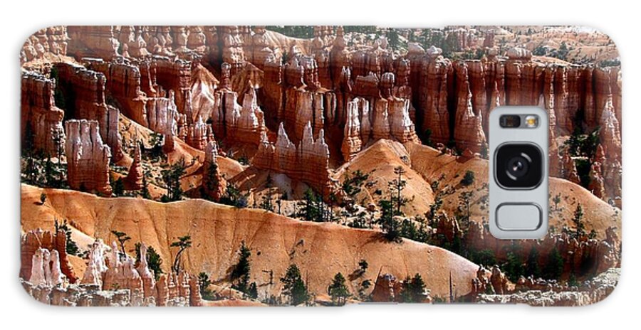 Brakob Galaxy Case featuring the photograph Hoodoos in Gold by Hans Brakob