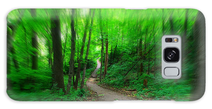 Woods Galaxy Case featuring the photograph Hopkins Path by Amanda Stadther