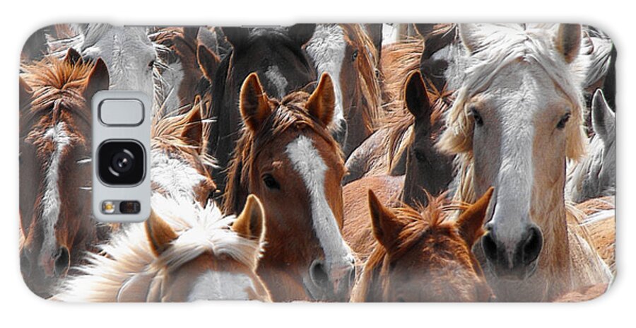 Horse Galaxy Case featuring the photograph Horse Faces by Kae Cheatham