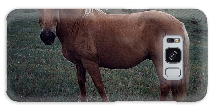 Horse Galaxy S8 Case featuring the photograph Horse by John Mathews