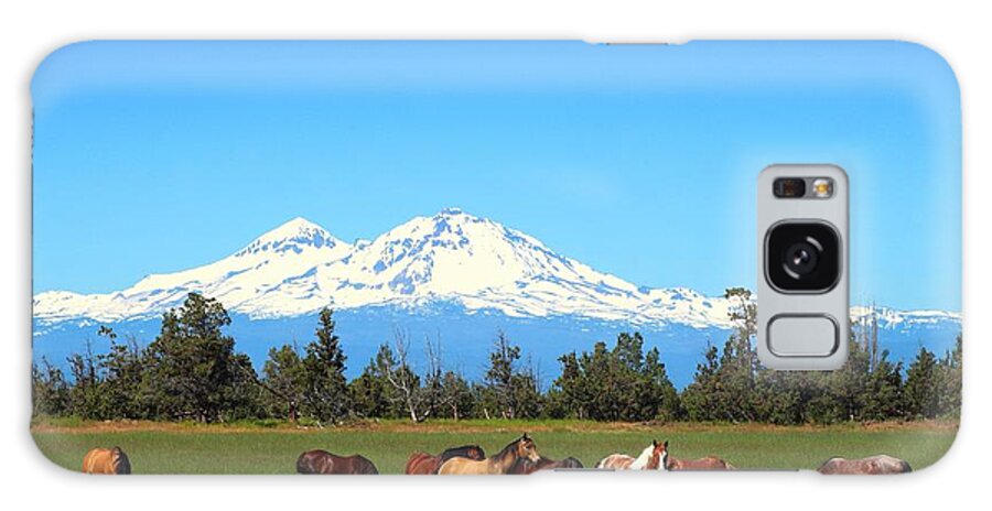 Sisters Mountain Galaxy S8 Case featuring the photograph Horses at Sisters Mountain by Lynn Hopwood