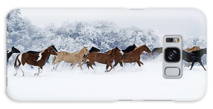 Animal Galaxy Case featuring the photograph Horses in Winter by Thomas Sbampato 