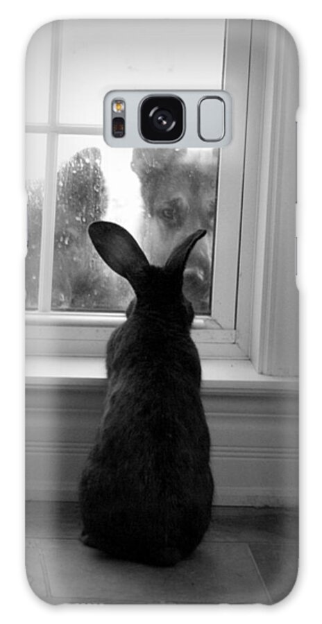 Rabbit Galaxy Case featuring the photograph How much is the doggie in the window? by Sue Long