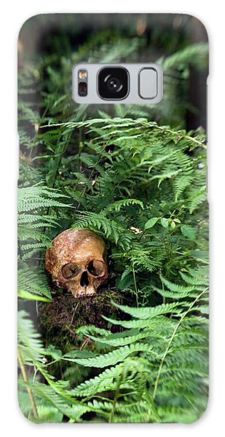 Fern Galaxy Case featuring the photograph Human Skull by Daniel Sambraus/science Photo Library