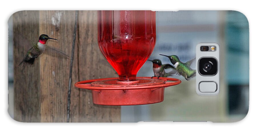 Hummingbirds Galaxy Case featuring the photograph Hummers by David Armstrong