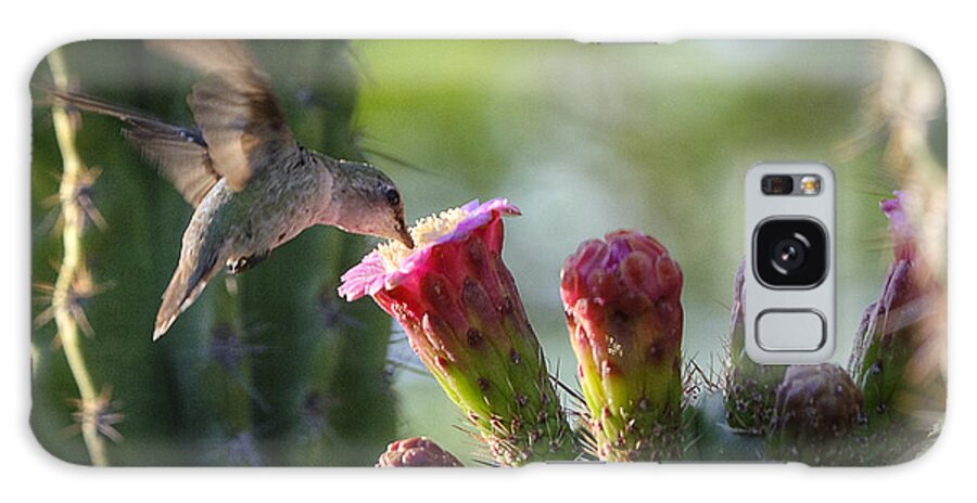Hummingbird Galaxy Case featuring the photograph Hummingbird Breakfast Southwest Style by Saija Lehtonen