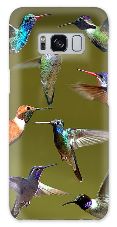 Nature Galaxy Case featuring the photograph Hummingbird Collage by David Salter