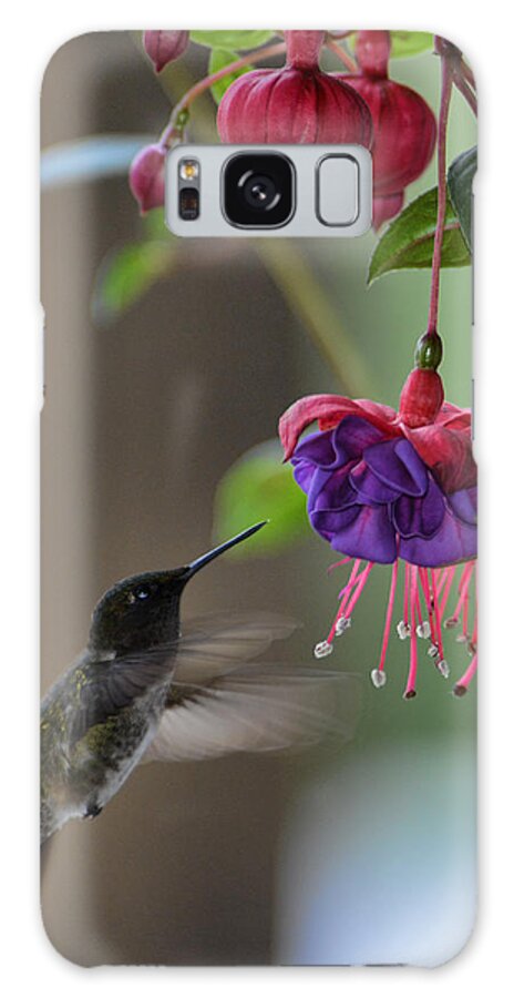 Hummingbird Galaxy Case featuring the photograph Hummingbird by David Armstrong