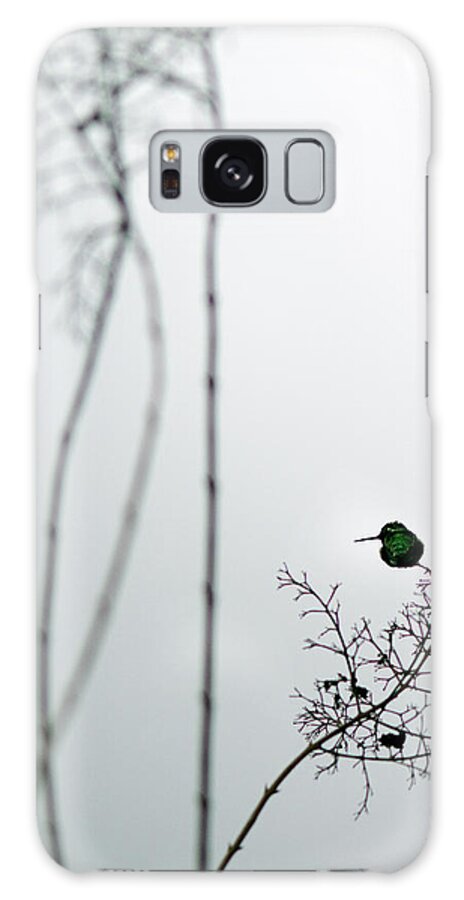 Hummingbird Galaxy S8 Case featuring the photograph Hummingbird in Fog 2 by Rebecca Cozart