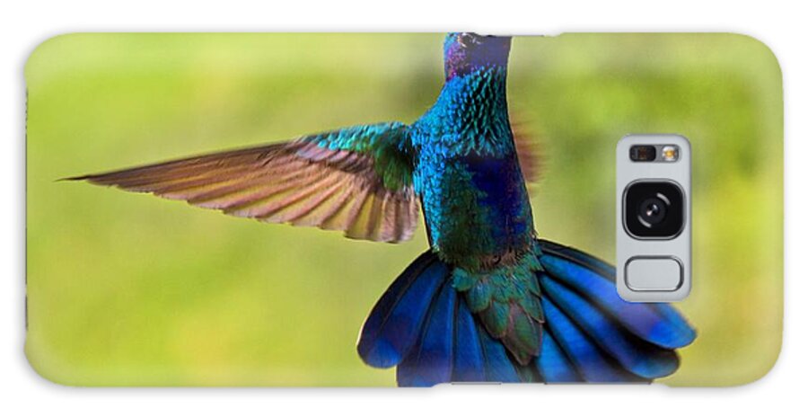 Splendour Galaxy Case featuring the photograph Hummingbird Splendour by Al Bourassa