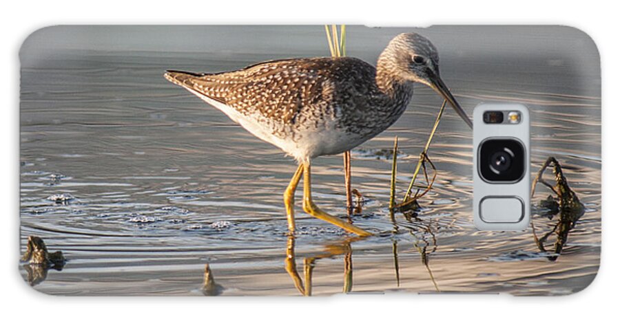 Lesser Yellowlegs Galaxy Case featuring the photograph Hunting by Cathy Kovarik