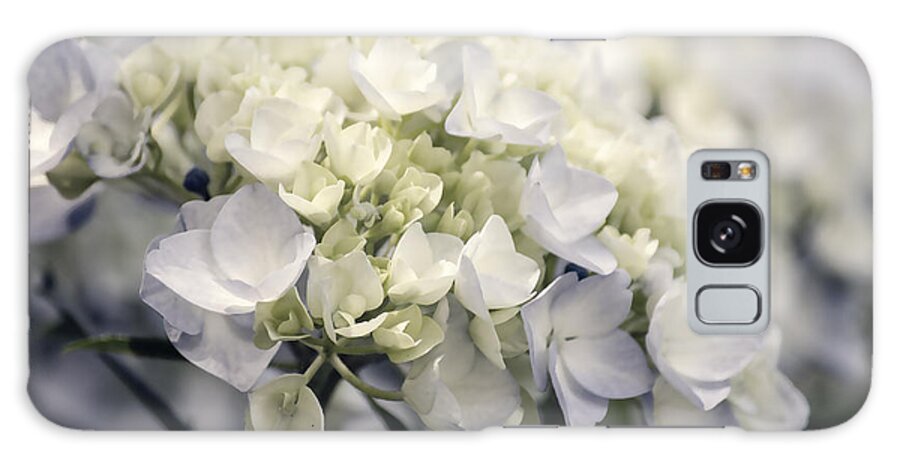 Purple Galaxy Case featuring the photograph Hydrangea by Craig Perry-Ollila