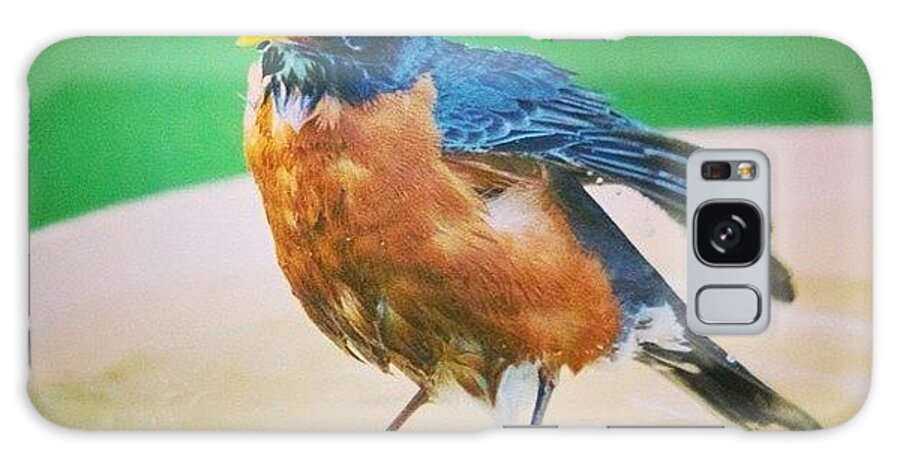 Robin Galaxy Case featuring the photograph Bathing Robin by Hermes Fine Art