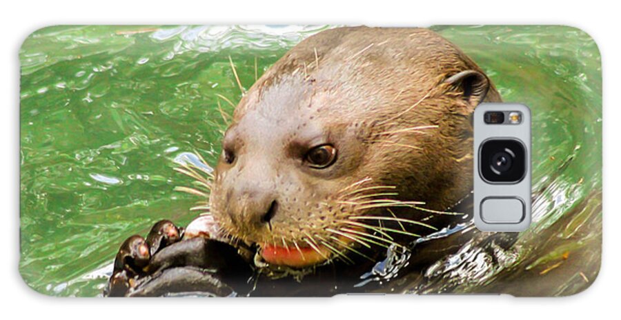 Otter Galaxy Case featuring the photograph I otter eat it by George Kenhan