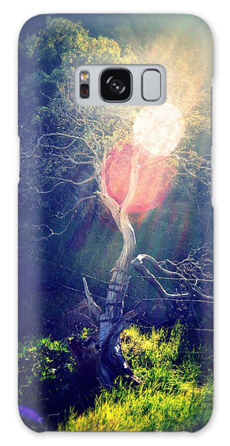 Tree Galaxy Case featuring the photograph I Saw the Light by Lisa Holland-Gillem