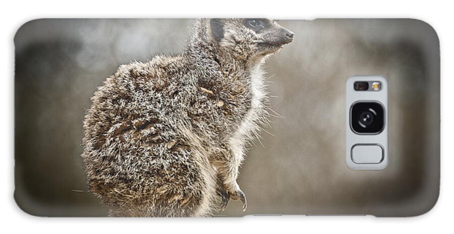 Mammal Galaxy Case featuring the photograph I spy a Meerkat by Chris Boulton