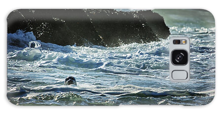 Seal Galaxy Case featuring the photograph I Spy a Seal by Belinda Greb