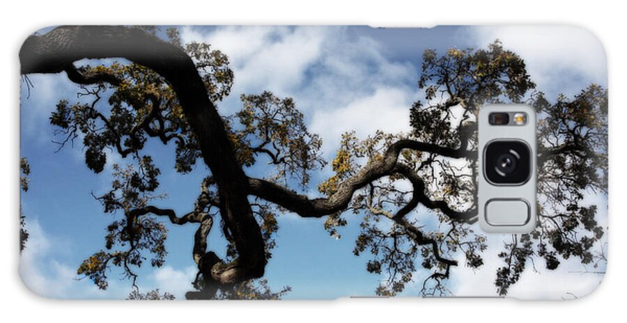 Trees Galaxy Case featuring the photograph I Touch the Sky by Laurie Search