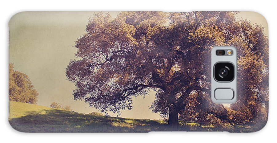 Dry Creek Hills Regional Park Galaxy Case featuring the photograph I Wish You Had Meant It by Laurie Search