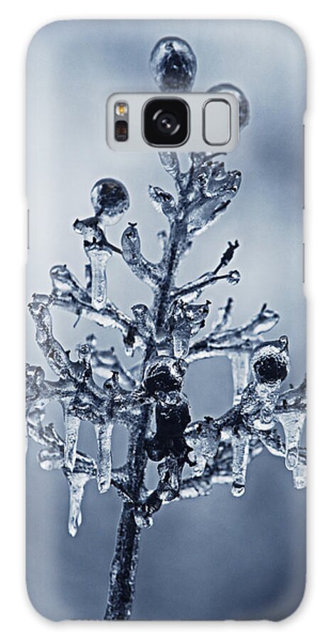 Ice Galaxy Case featuring the photograph Ice Bouquet by Linda Segerson