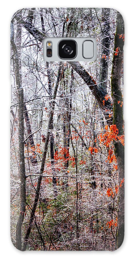 Freezing Rain Galaxy S8 Case featuring the photograph Ice Trees by Daniel George