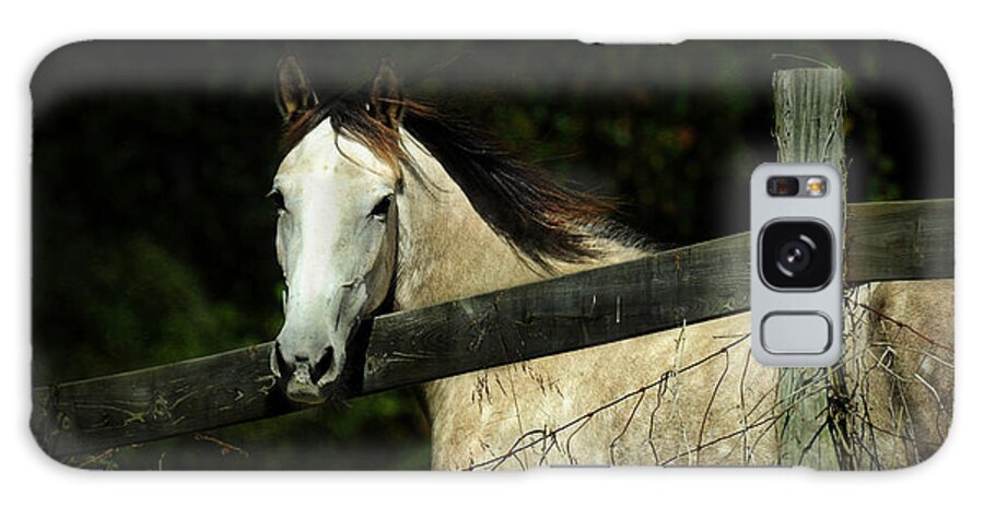 Horse Galaxy Case featuring the photograph If Wishes Were Horses by Rebecca Sherman
