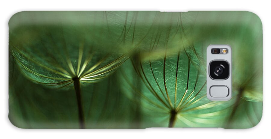 Dandelions Galaxy Case featuring the photograph Illuminated by Iris Greenwell