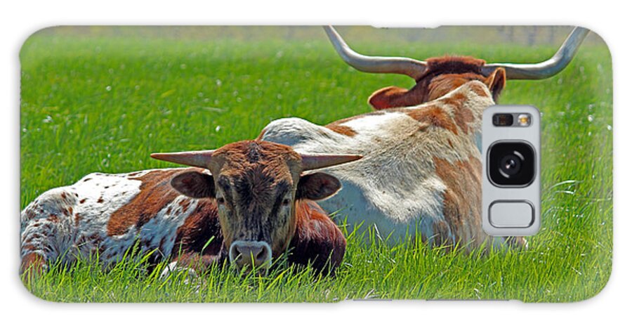 Longhorn Galaxy Case featuring the photograph I'm Just a Baby by Lynn Sprowl