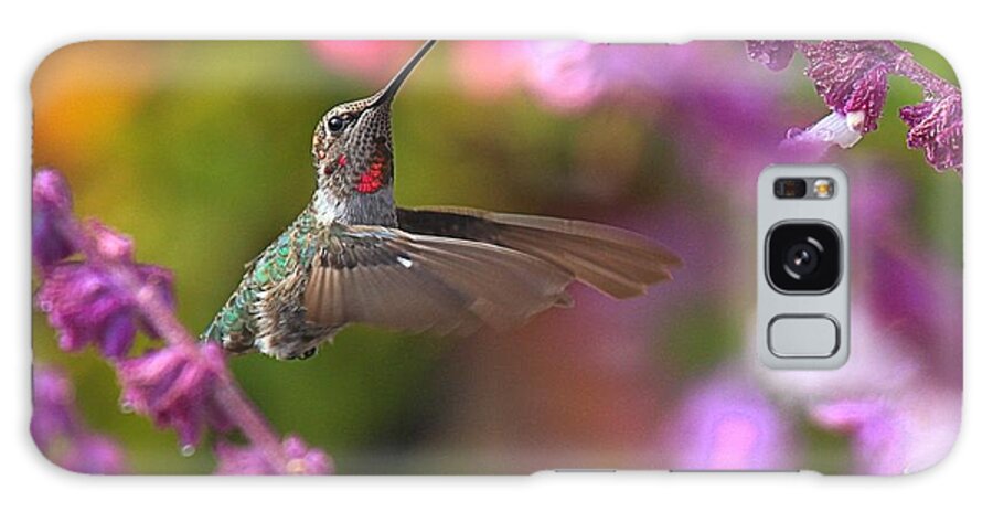 Hummingbird Galaxy Case featuring the photograph In Between Meals by Adam Jewell
