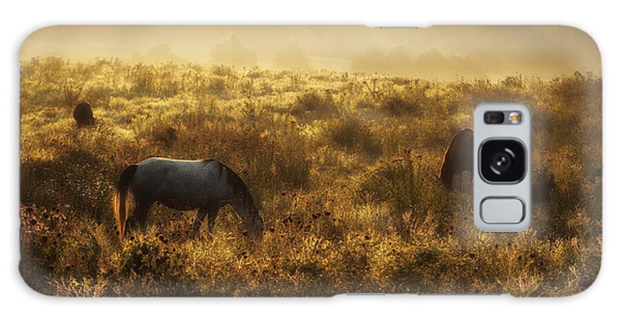 Equine Galaxy Case featuring the photograph In Fields of Gold by Ron McGinnis