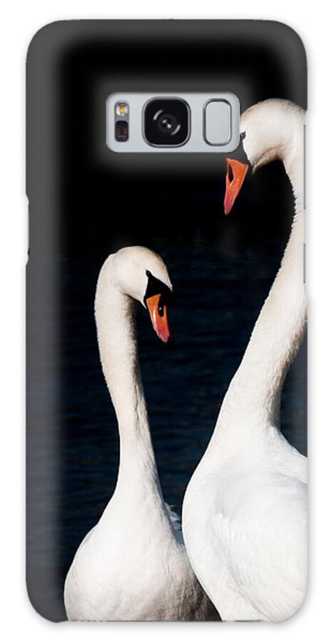 Swans Galaxy Case featuring the photograph In love by Laura Melis