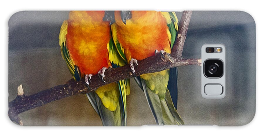 Parrots Galaxy Case featuring the photograph In love by Lily K