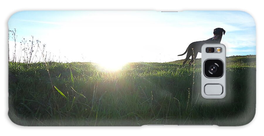 Dog Galaxy Case featuring the photograph In the Field by Paul Foutz