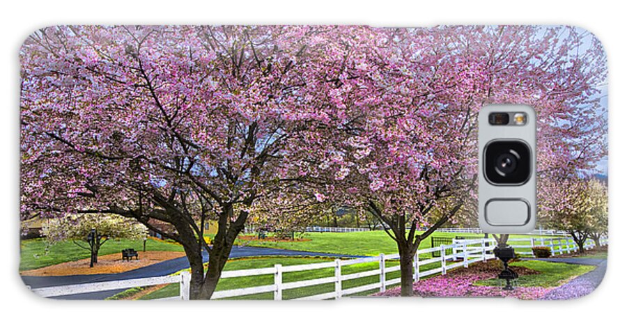 Andrews Galaxy Case featuring the photograph In The Pink by Debra and Dave Vanderlaan