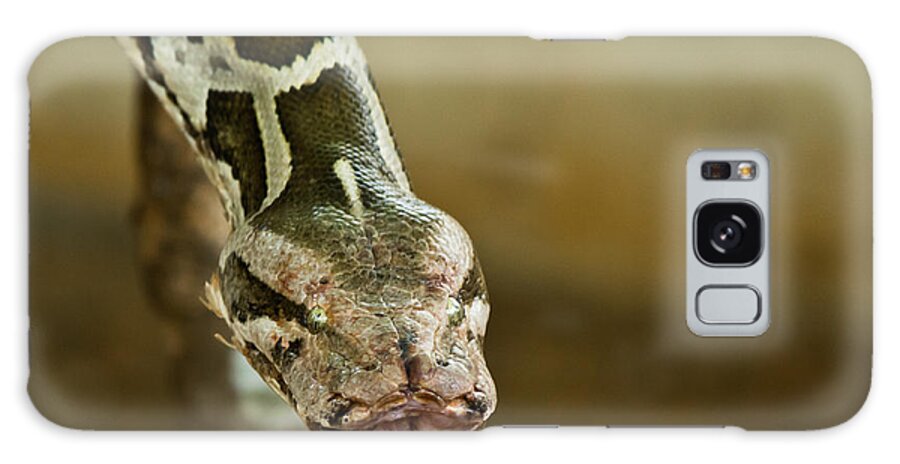 Shimoga Galaxy Case featuring the photograph Indian Python by SAURAVphoto Online Store