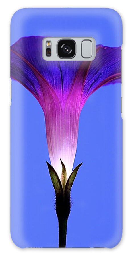 Morning Glory Galaxy Case featuring the photograph Inner Glow by Catia Juliana