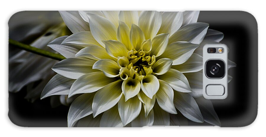 Botanical Galaxy Case featuring the photograph Inner Glow by Christi Kraft