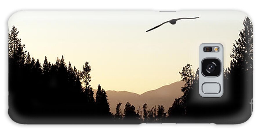 Flight Galaxy Case featuring the photograph Into the Sunset by Cindy Singleton